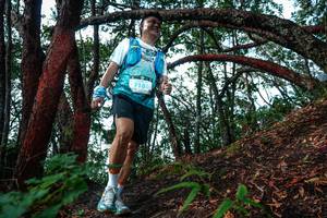 BIB: 
                            <button type="button" onclick="openModal(26346188)" class="btn btn-primary btn-sm float-right btn-popup" data-toggle="modal" data-target=".modal-high-quality">
                        <i class="fas fa-shopping-cart"></i> Add to Cart
                    </button>
                                            <button type="button" onclick="isThisMe(26346188, true)" class="btn btn-success btn-sm float-right btn-popup btn-isme hidden" data-toggle="tooltip" data-placement="bottom" title="นี่คือรูปของคุณใช่ไหม คลิกที่นี่เพื่อเอาเข้าอัลบั้ม">
                        <i class="fas fa-plus"></i> Add to album
                    </button>
                    <button type="button" onclick="isThisMe(26346188, false)" class="btn btn-warning btn-sm float-right btn-popup btn-isnotme hidden">
                        <i class="fas fa-ban"></i> Remove from album
                    </button>